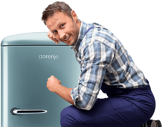 Ремонт холодильников Gorenje в Киеве