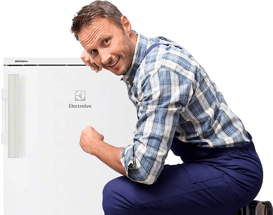 Ремонт холодильников Electrolux (Электролюкс) в Киеве